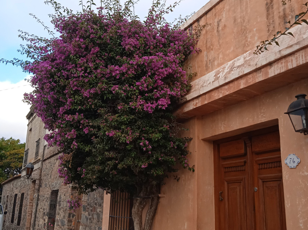 Bastión de San Miguel-科洛尼亚·德尔萨克拉门托城必去景点