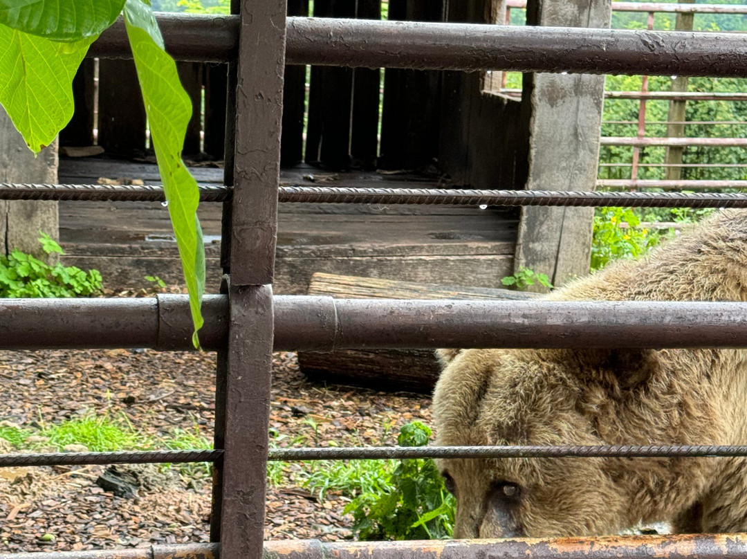 Bärenhof-Berghausen必去景点