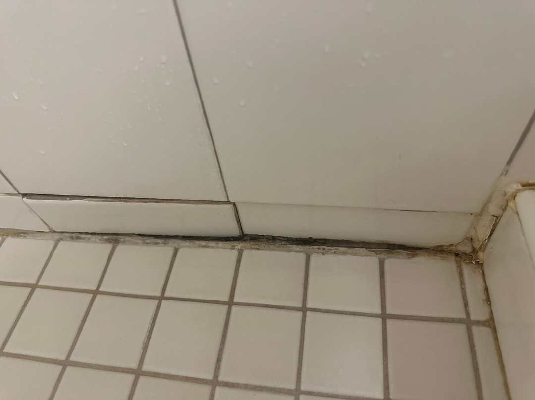 Wingate by Wyndham Sylvania/Toledo主图