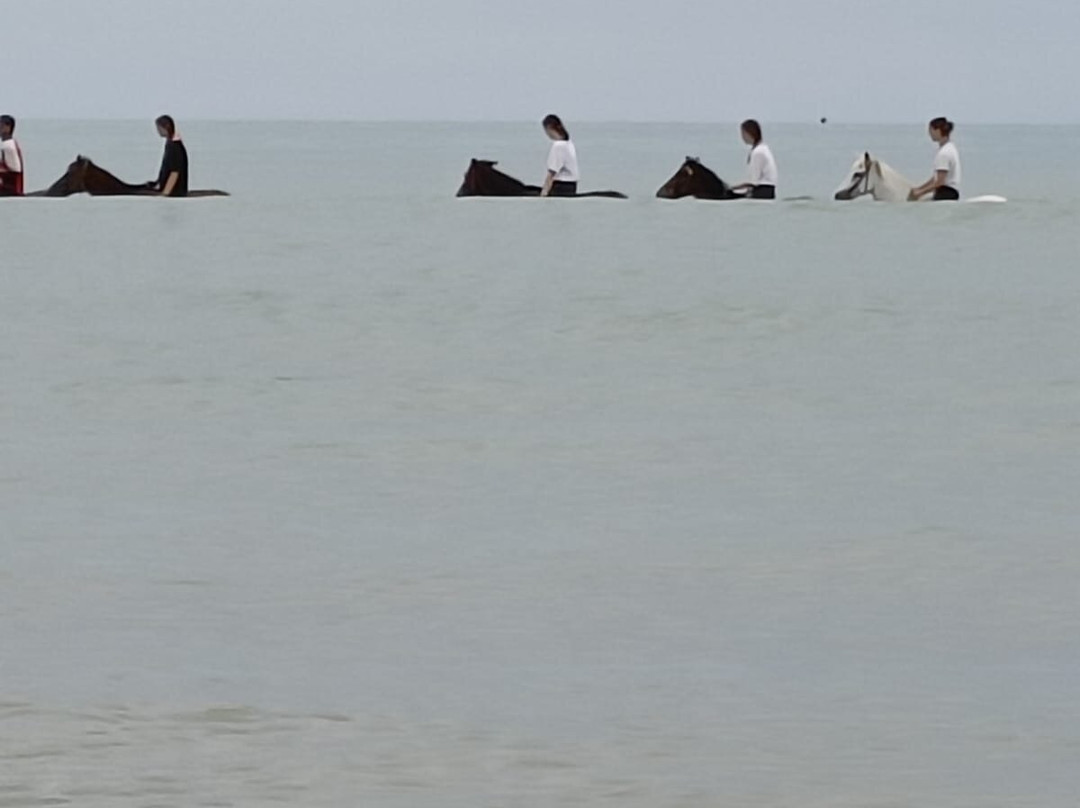 Krabi Nature Horse Riding-奥南必去景点