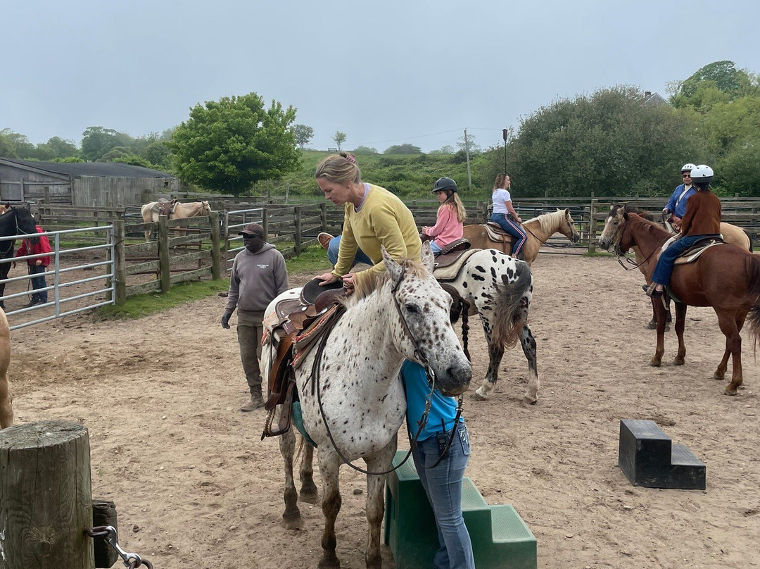 Deep Hollow Ranch-蒙托克必去景点