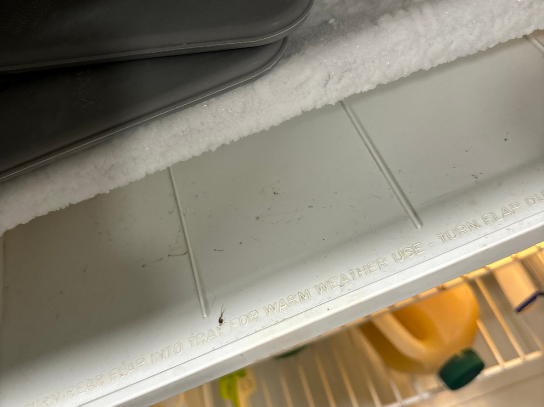 The Jumbuck Motel主图