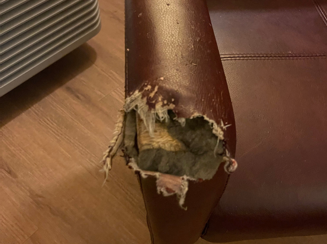 Red Roof Inn Acworth - Emerson/ LakePoint South主图