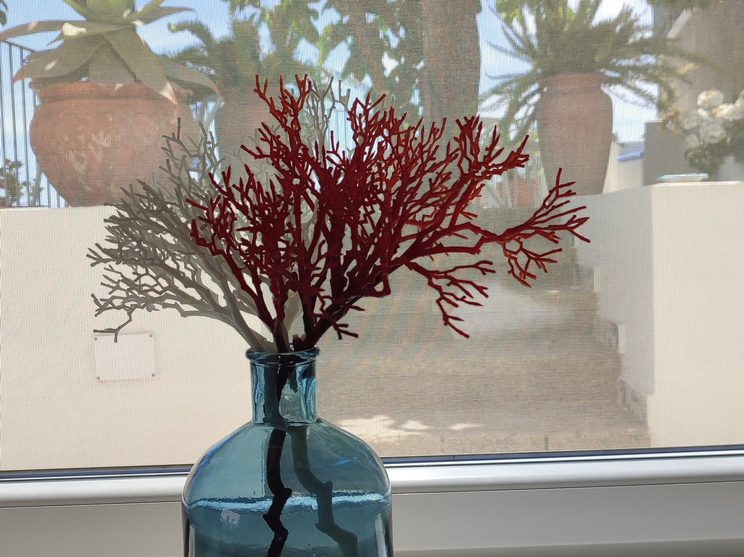 Domus Fortunae主图