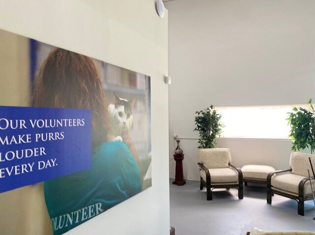 Humane Society Thrift Shop-维罗海滩必去景点