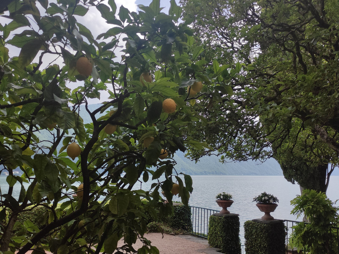 Villa Fogazzaro Roi-Valsolda必去景点