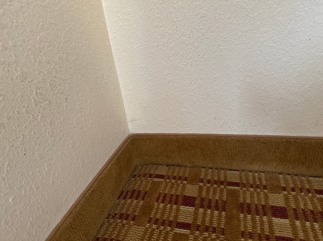 Quality Inn & Suites主图