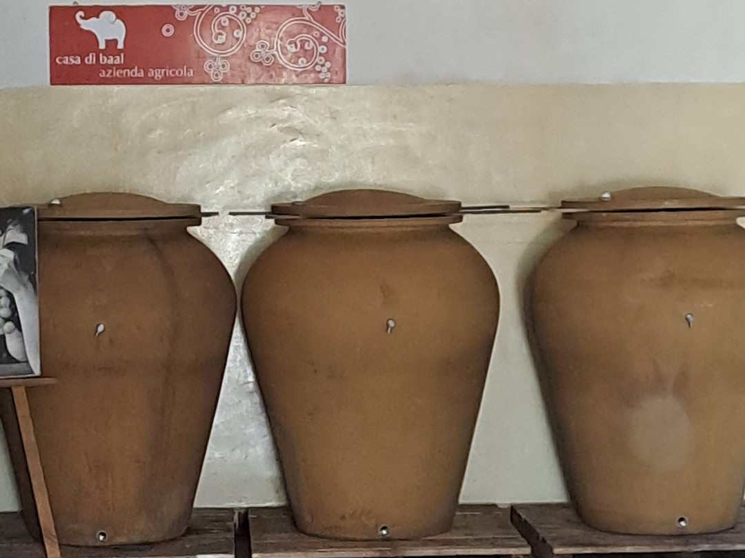 Casa di Baal-Montecorvino Rovella必去景点