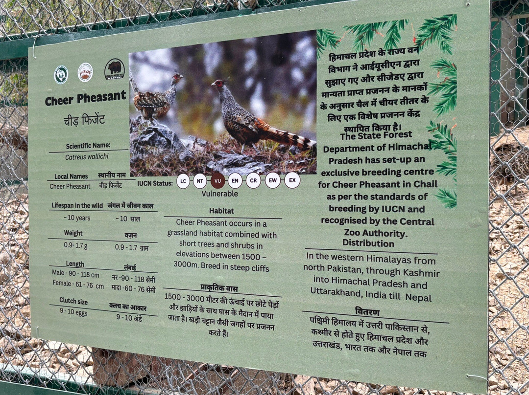 Himalayan Nature Park-Kufri必去景点