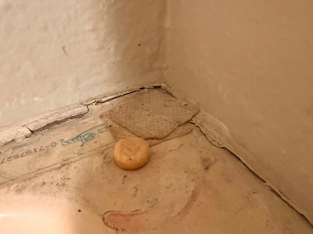 丹维尔速8酒店主图