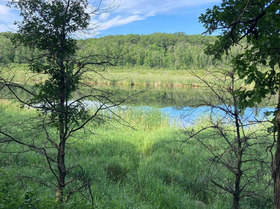 Mille Lacs Kathio State Park景点图片