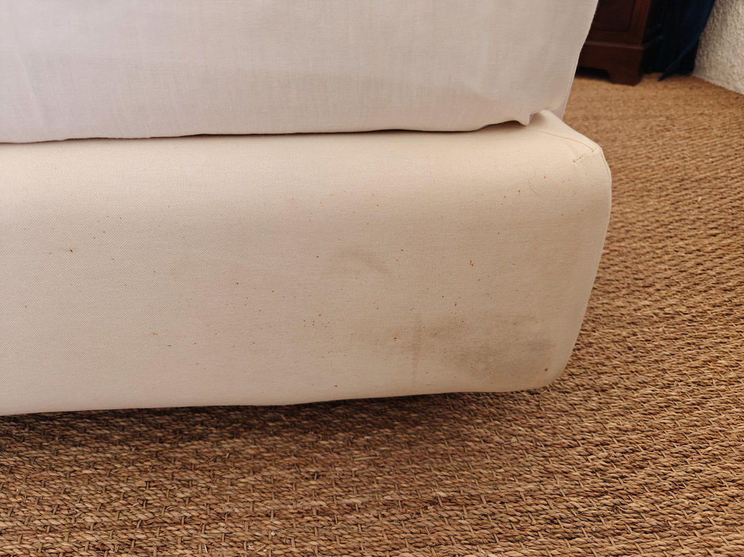 Lassion Golden Bay主图