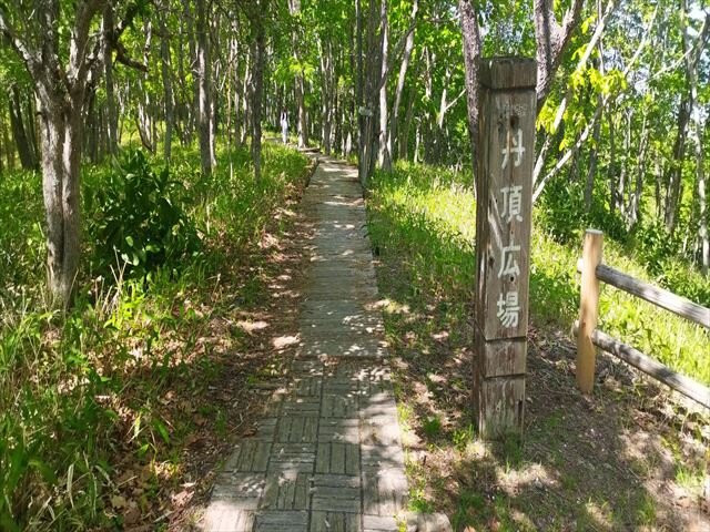 Kushiro Shitsugen Observatory Boardwalk-钏路市必去景点