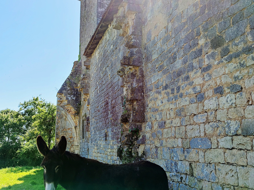 Église Saint-martin De Ventouse景点图片