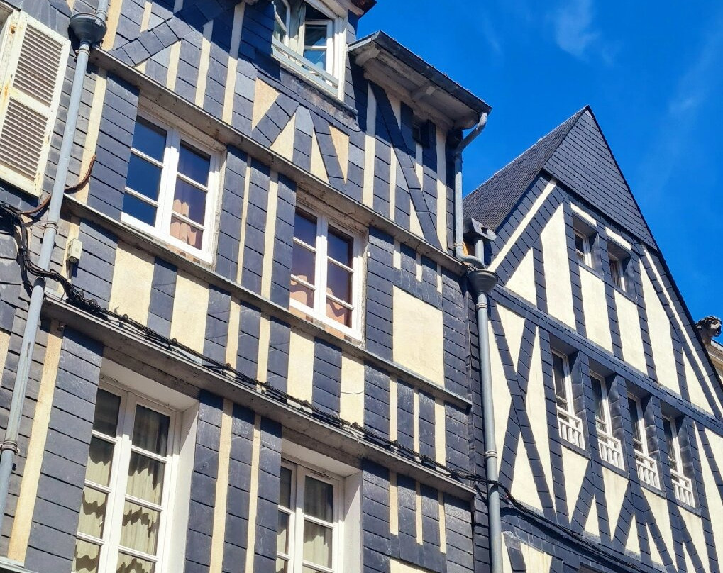 Hotel de Ville景点图片