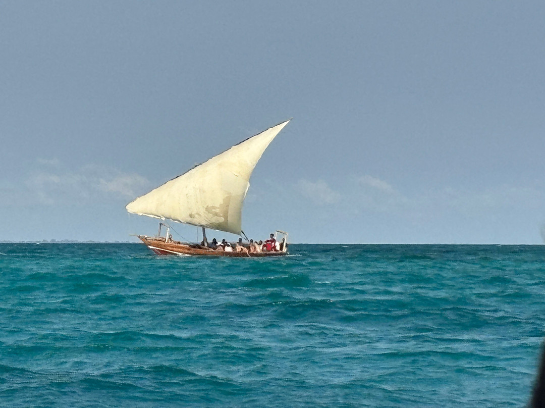Kwetu Zanzibar Tours and Safaris-桑给巴尔岛必去景点