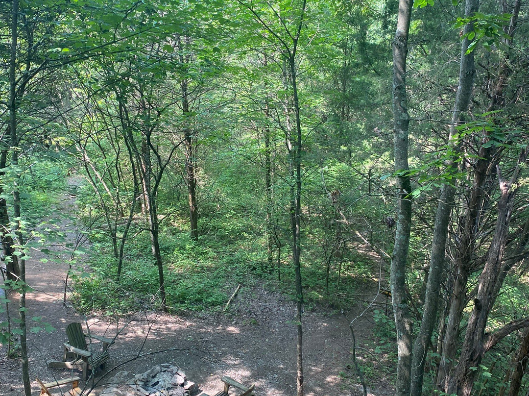 EarthJoy TreeHouse Adventures-Brooksville必去景点