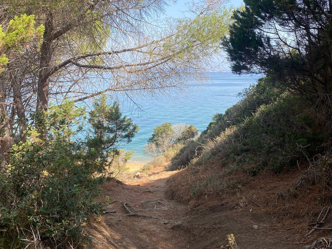 Cala dei Ginepri-Cannigione必去景点