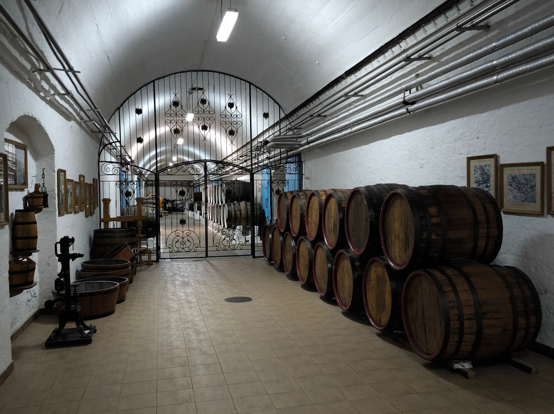 Massandra Winery-Massandra必去景点