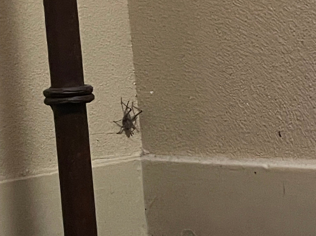 优胜美地瀑布山庄主图