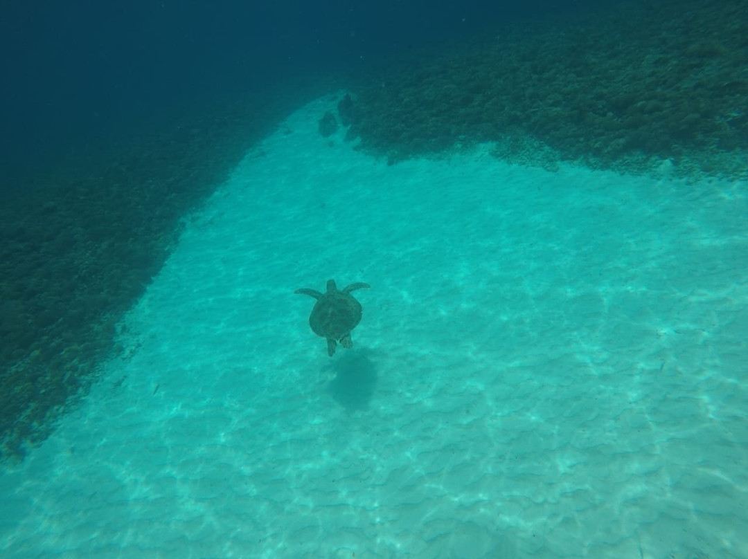 梅达纳度假村主图