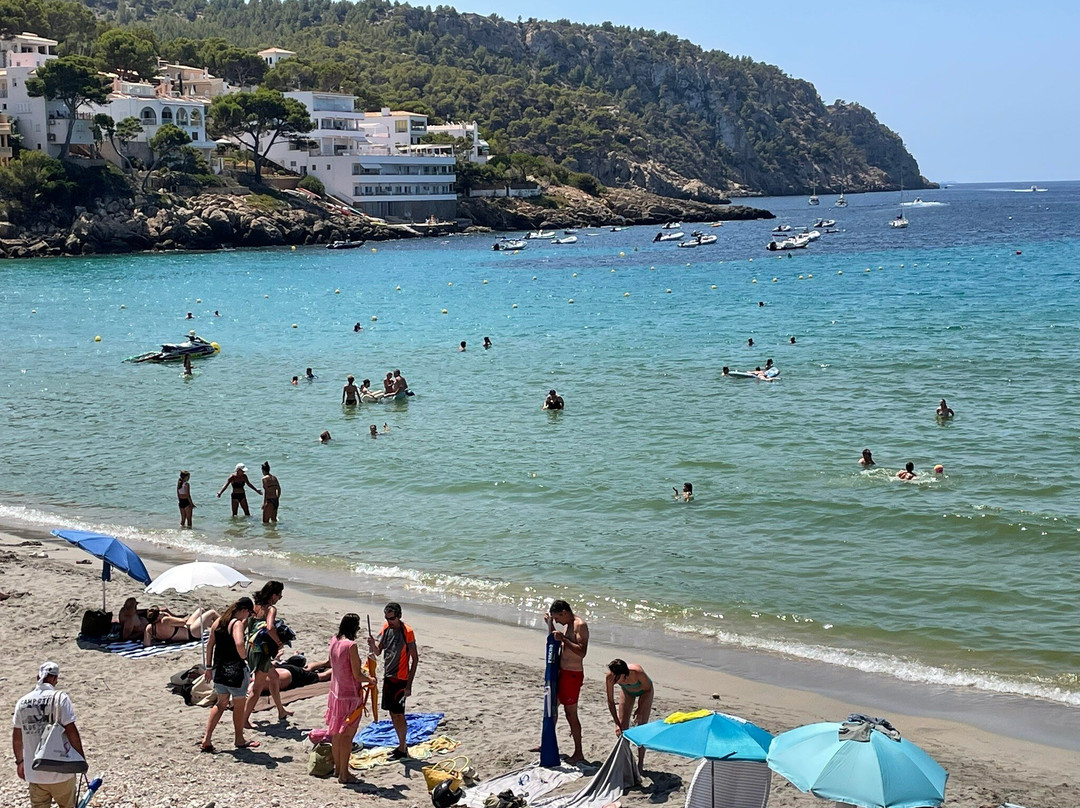 Platja De Sant Elm景点图片