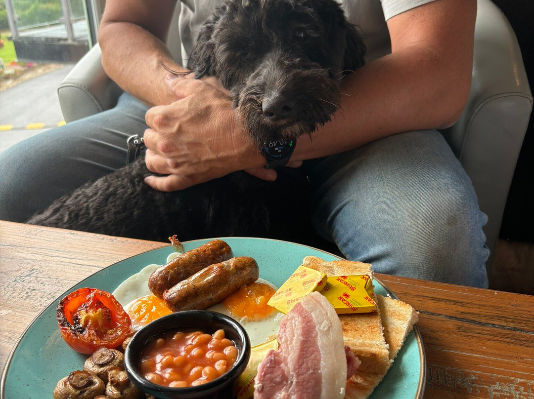 Parc Y Bocs Farm Shop, Cafe and Restaurant景点图片