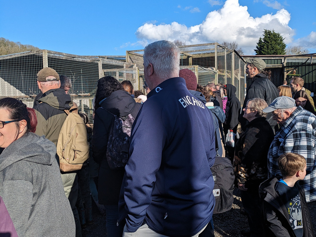 North Somerset Bird of Prey Centre-Congresbury必去景点