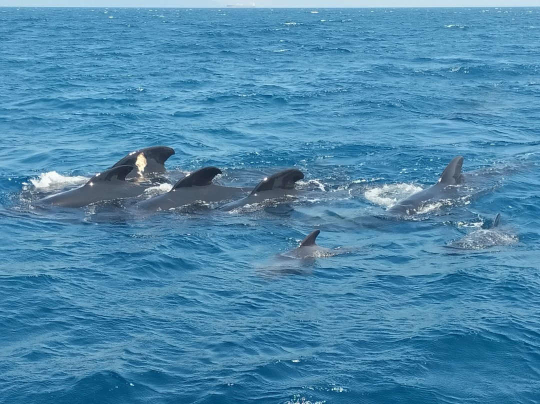 Turmares Tarifa-塔里法必去景点
