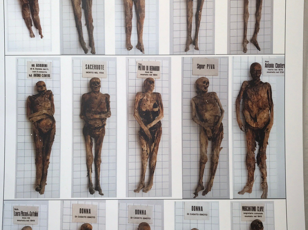Cripta Cimiteriale di San Michele Mummie di Venzone景点图片