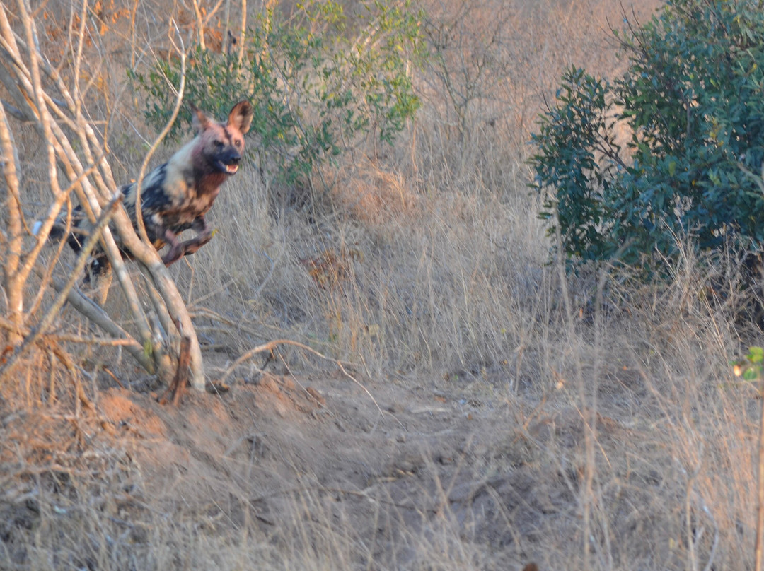 丛林漫步之旅酒店主图