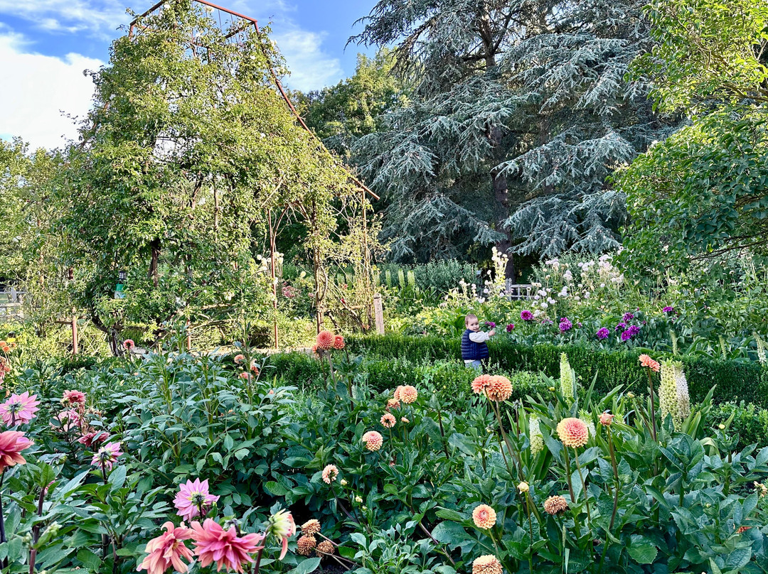 Domaine de Poulaines景点图片