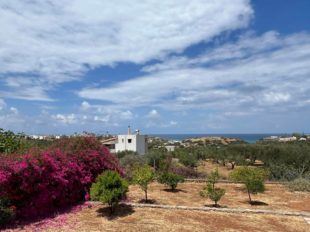 Villa SK