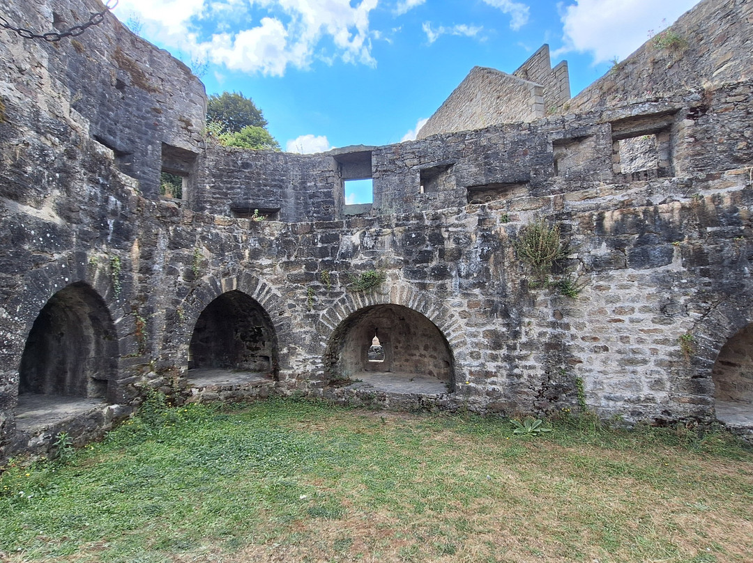 Chateau de Clisson景点图片