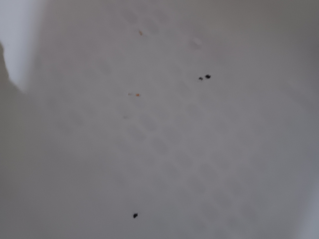 Solace by the Sea主图