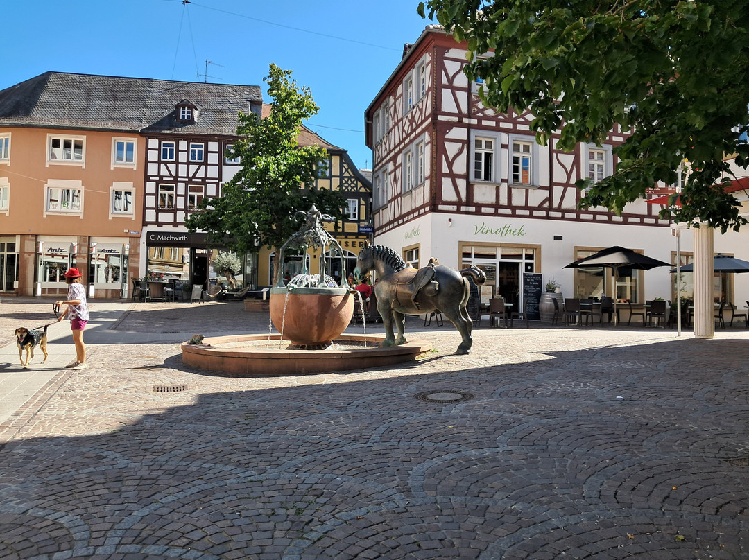Roßmarktbrunnen景点图片