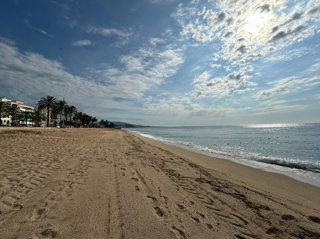 Rambla de Badalona景点图片