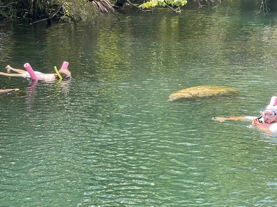 Go Local Manatee Tours-克里斯特尔里弗必去景点