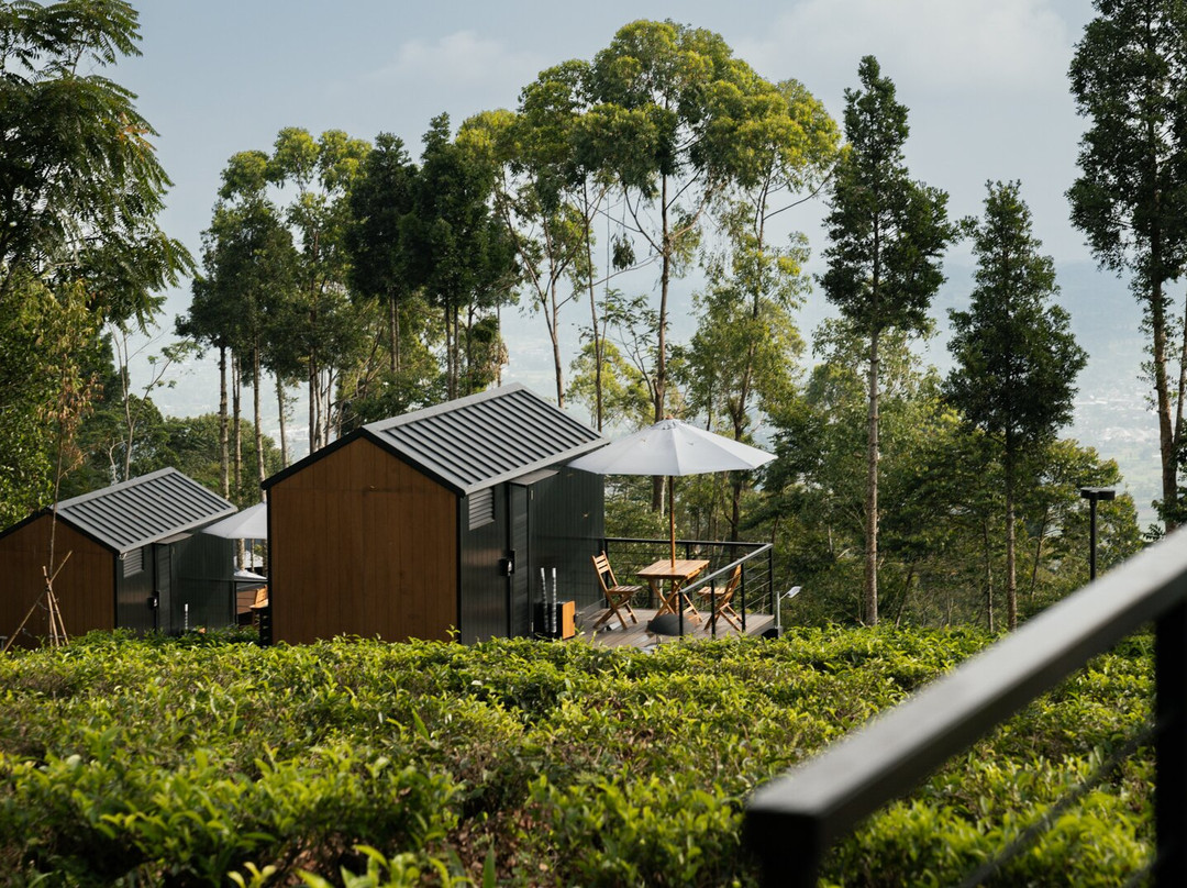 Bobocabin Dieng Pass, Batang
