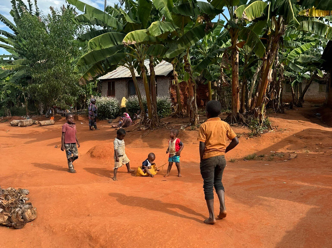 Escursioni Ronaldo-Kendwa必去景点