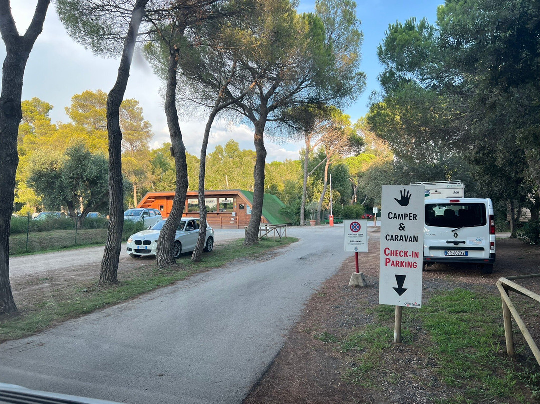 Campo dei Fiori景点图片