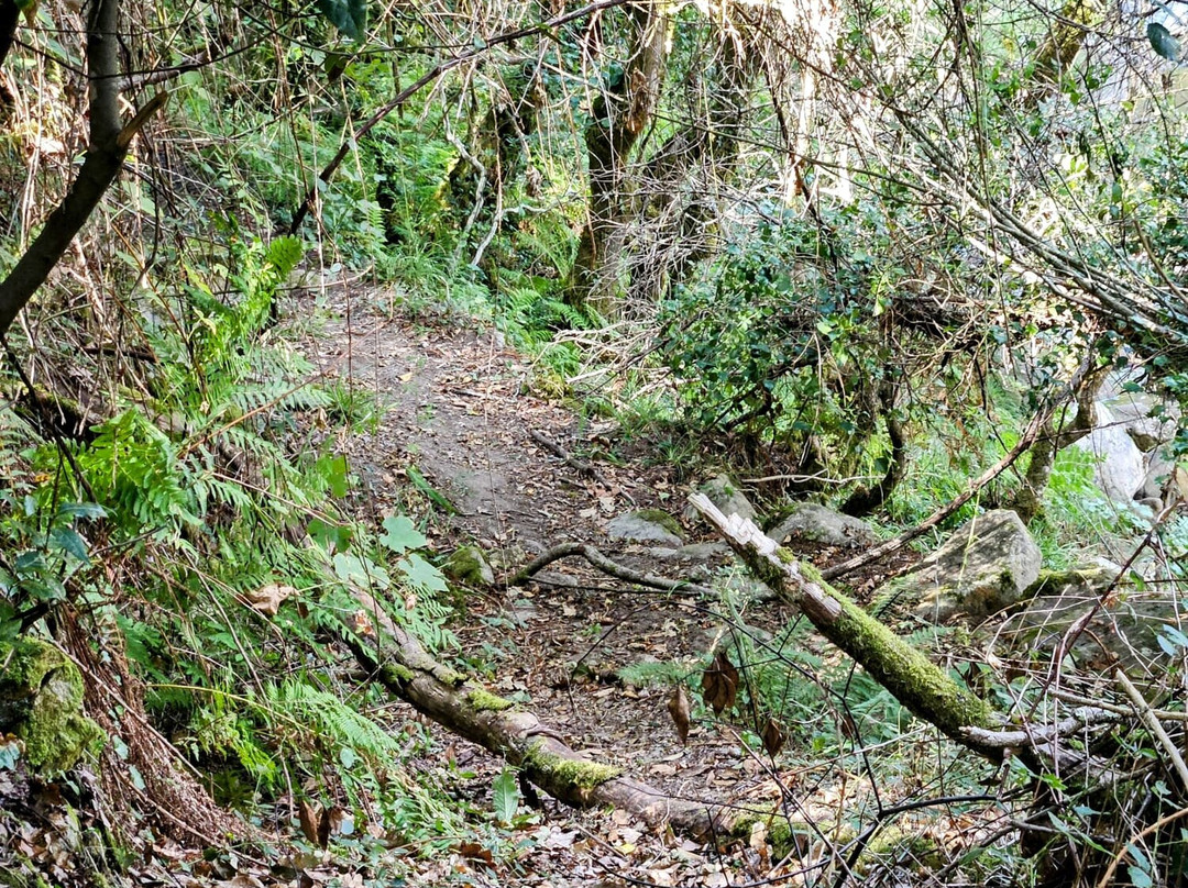 Natureway atv tours-Arcos de Valdevez必去景点