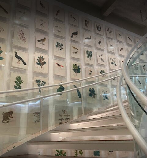 Itau Cultural Institute-圣保罗必去景点