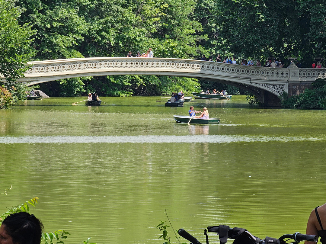 CentralParkExperience Sightseeing LLC-纽约市必去景点