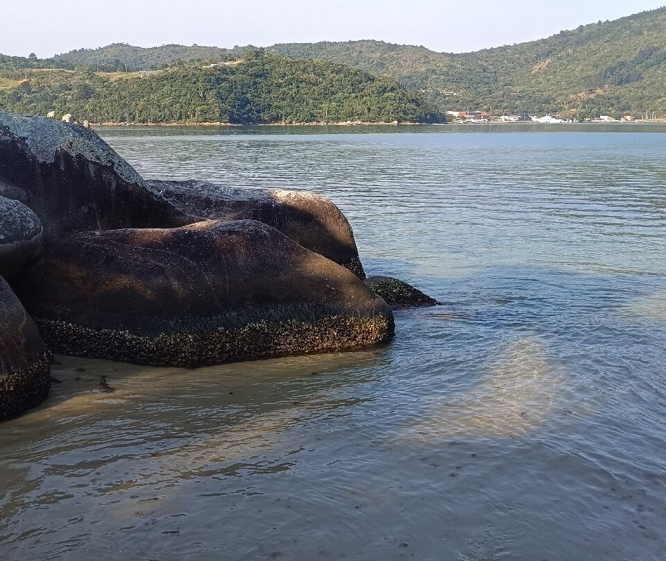 Ilha de Porto Belo景点图片