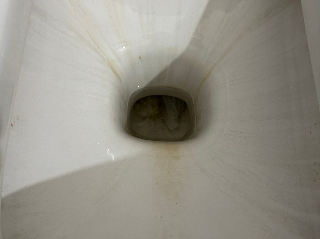 Hotel Adelphi Grande主图