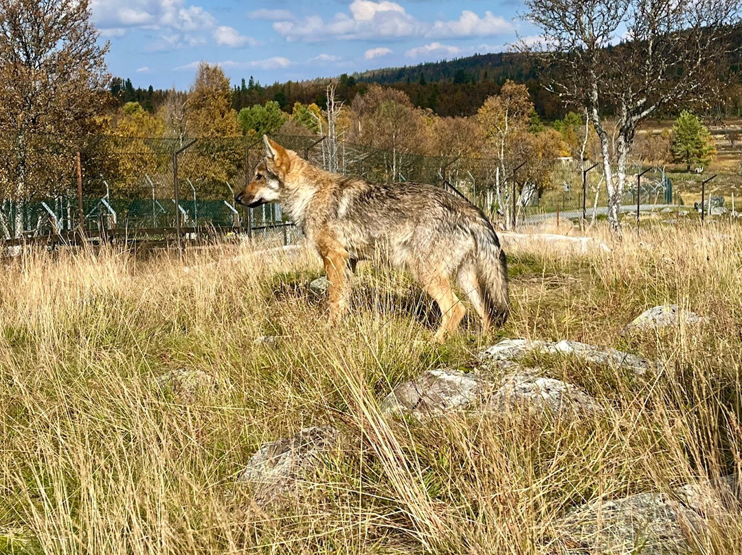 Langedrag Nature Park景点图片