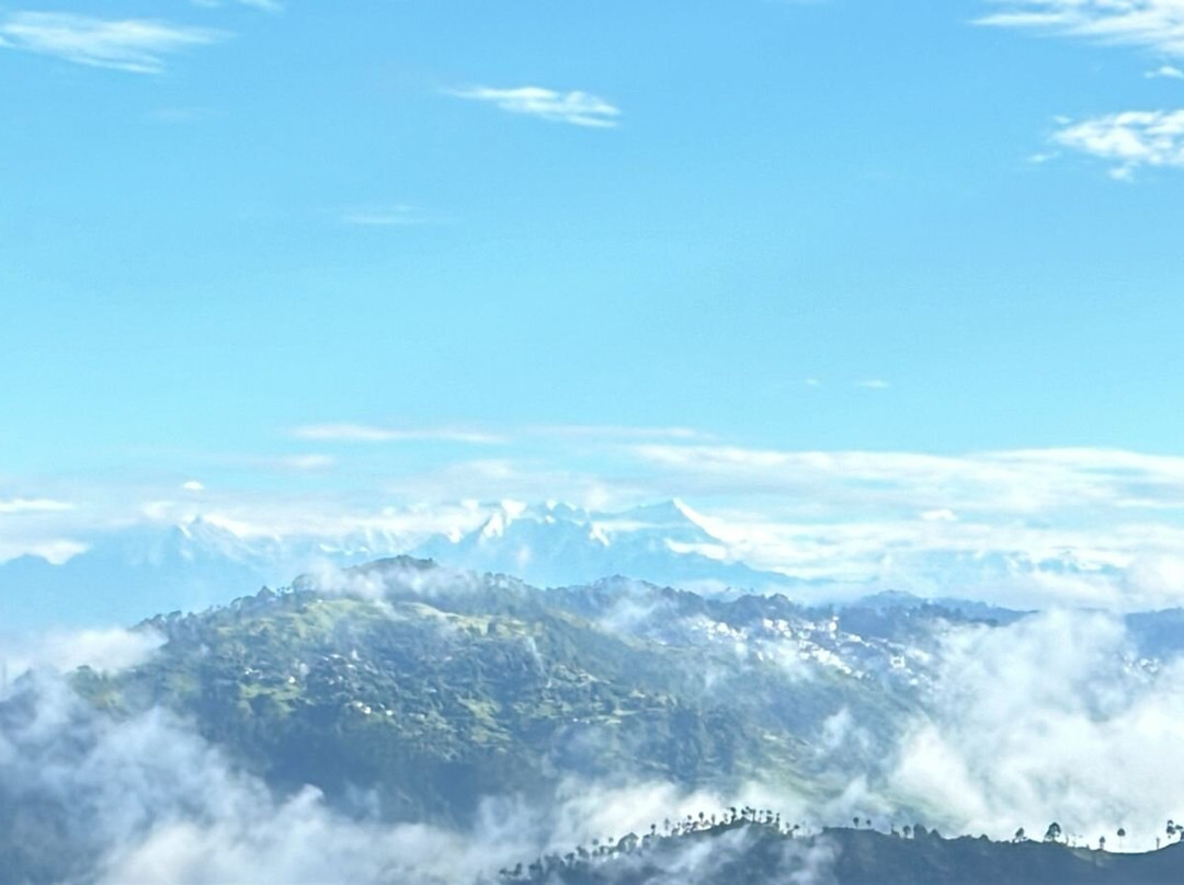 The Orchard at Peora Estates主图