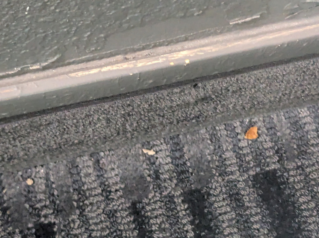 Baymont by Wyndham Lancaster主图