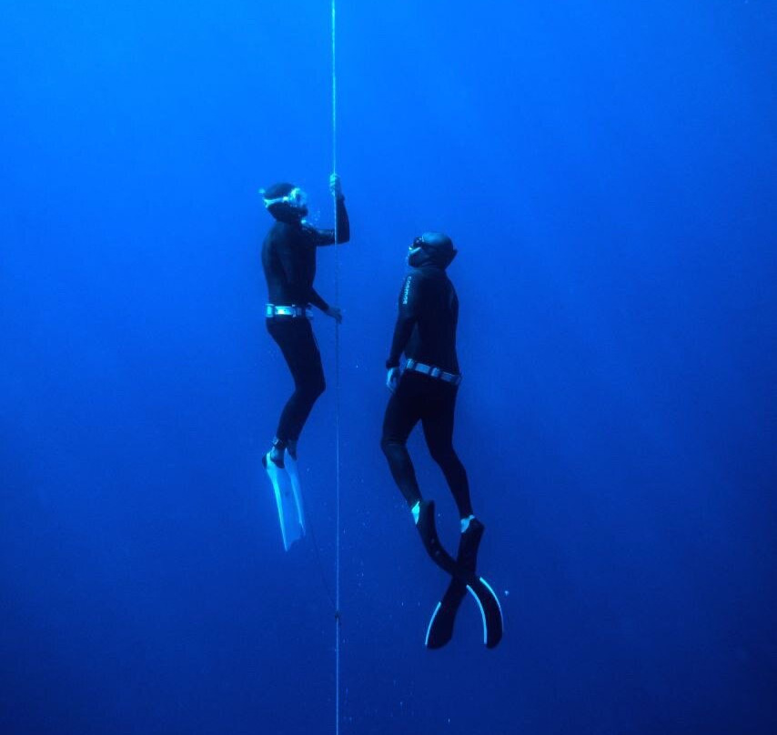 Freedive Cosmos景点图片